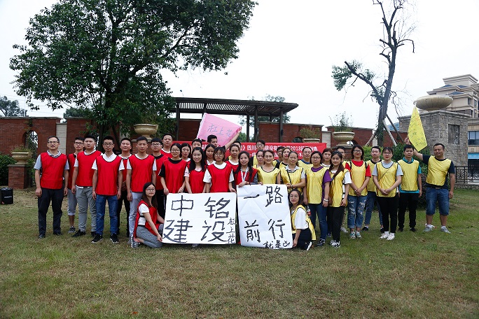 團(tuán)隊(duì)協(xié)作展活力，凝心聚力鑄輝煌